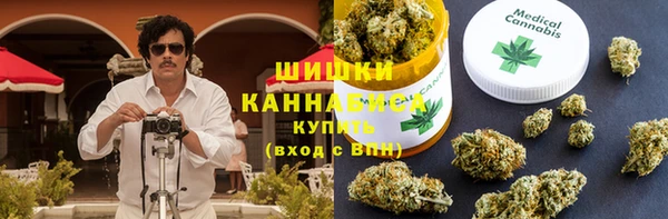 твердый Арсеньев